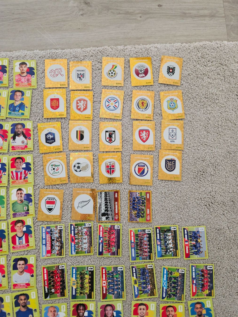 Panini Album: 183 verschiedene Panini-Bilder 2026 – Usato da Hinwil venduto da 97 3