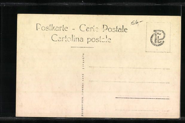Cartoline postali: St. Moritz, Gesamtansicht aus weiter Fer – Usato da Berlin venduto da bartko-reher 1