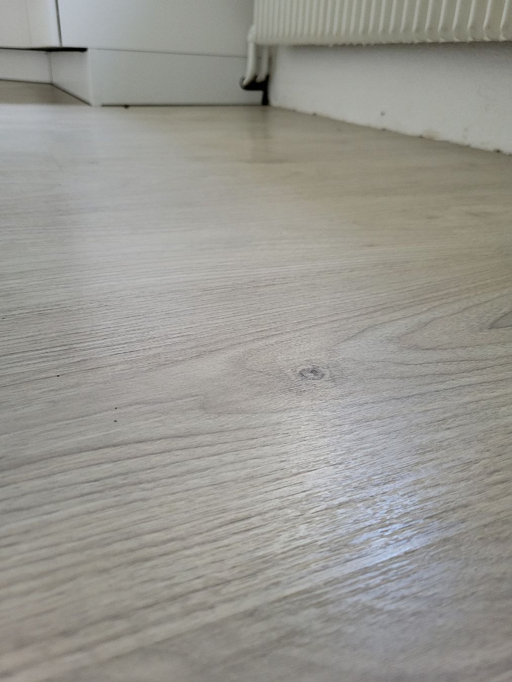 Rivestimenti per pavimenti: Laminat hellgrau ca. 41m2 mit Unterlage – Usato da Zürich venduto da weibelfamily 2