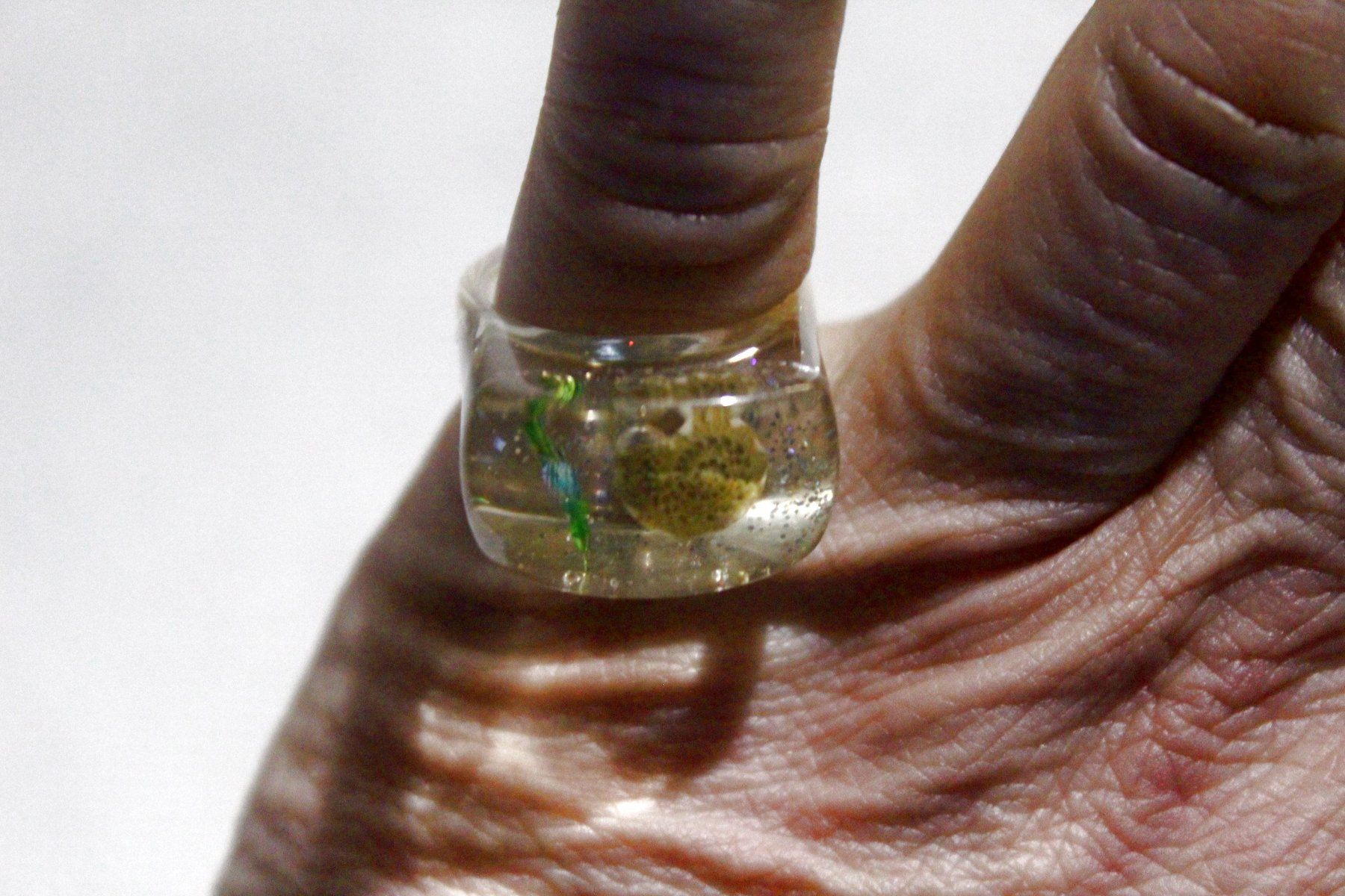 Anelli: Vintage Space-Age - Ring mit Muschel, Seestern, Seeigel, usw – Nuovo (secondo la descrizione) da Bern venduto da Vitaneuf 2