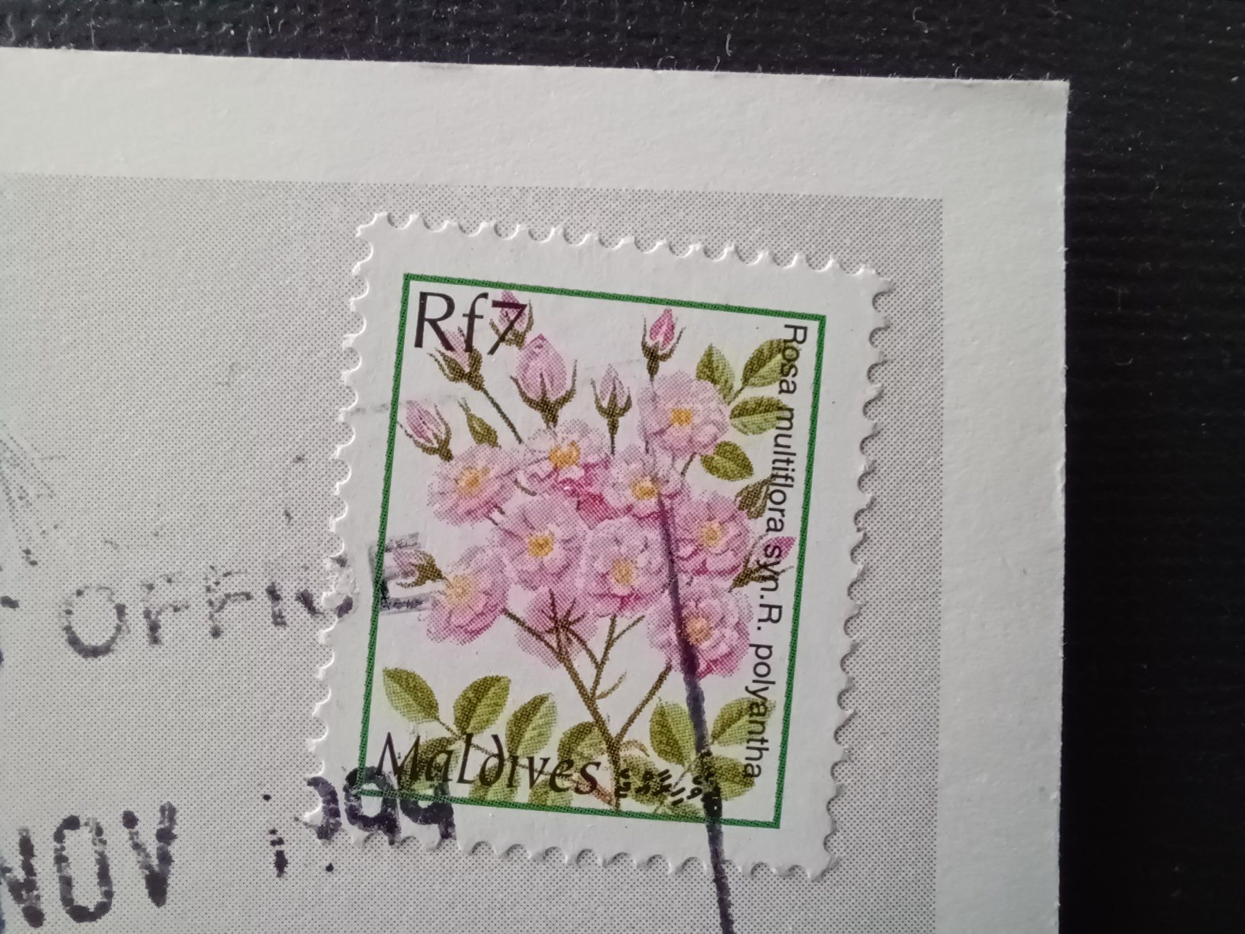 Cartoline postali: Maledives, 1999, Airport Post Office – Usato da Aarau Rohr venduto da mgvw 2