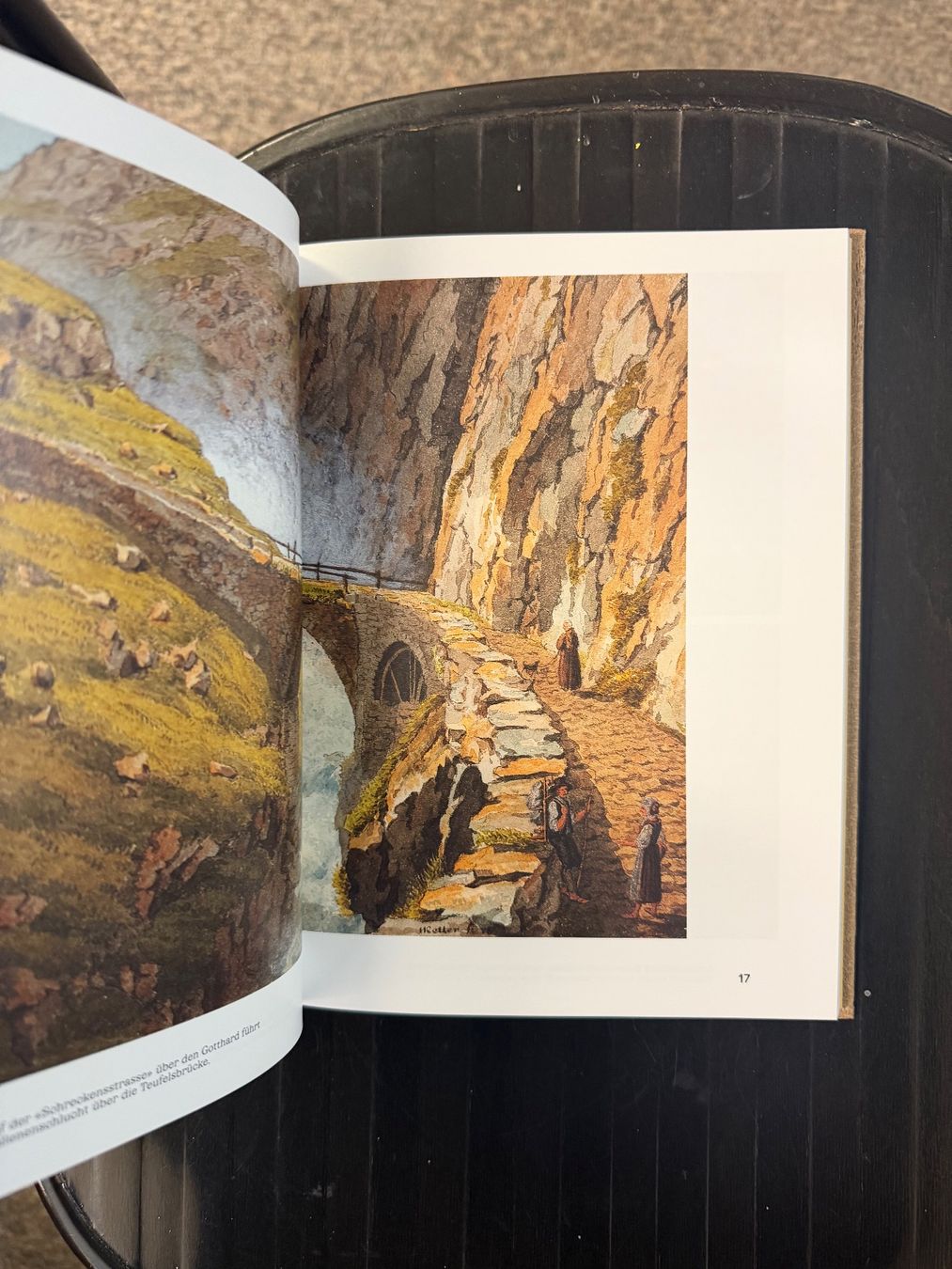 Libri: Typisch Schweiz – Usato da Dietikon venduto da Buchantiqdietikon 1
