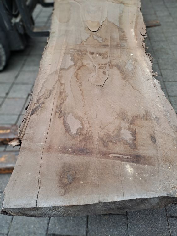 Articoli in legno: ca 0.3m2 nussbaumbrett lufttrocken – Nuovo (secondo la descrizione) da Illnau venduto da adi711 1