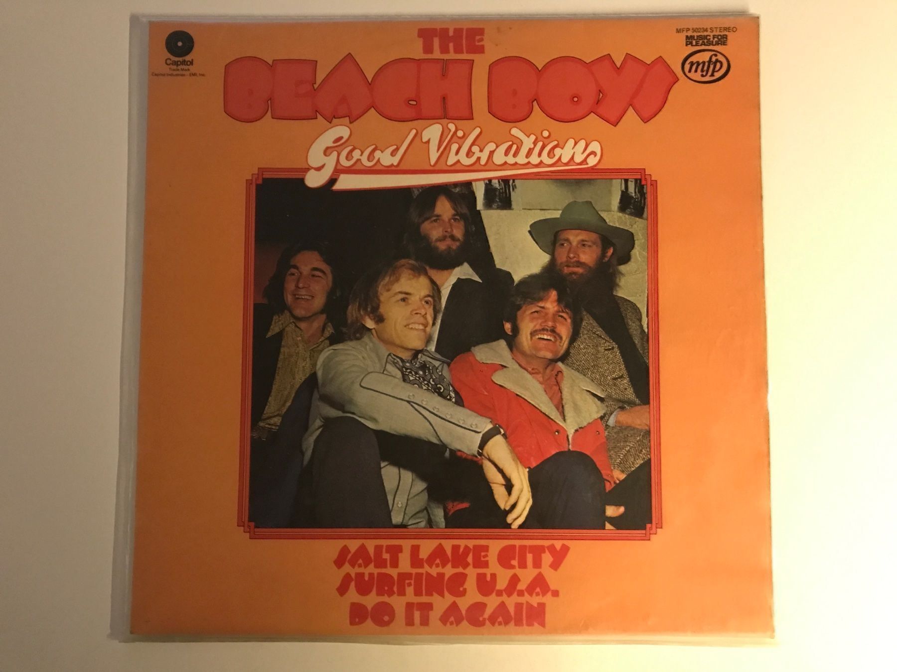 Dischi in vinile: The Beach Boys LP – Usato da Gutenswil venduto da Hamzian