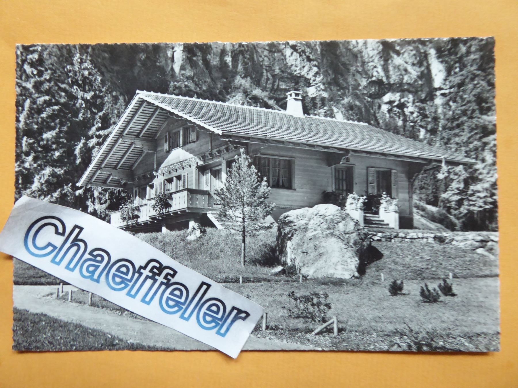 Ansichtskarten: Chalet am Blausee – Neu (gemäss Beschreibung) aus Zürich von Chaeffeler