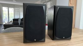 Infinity Alpha 20 – Klassiker mit audiophilem Klang