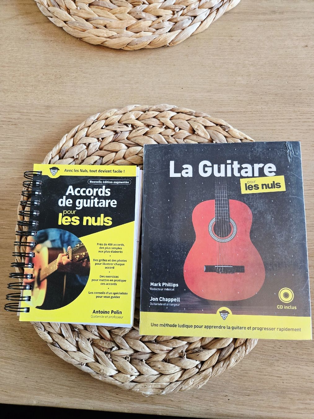 Strumenti musicali: Guitares (Classique + électrique) – Usato da Courtemaîche venduto da D.B29 5