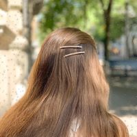 Twisted (2pcs) :: Hairpin Haarklammern