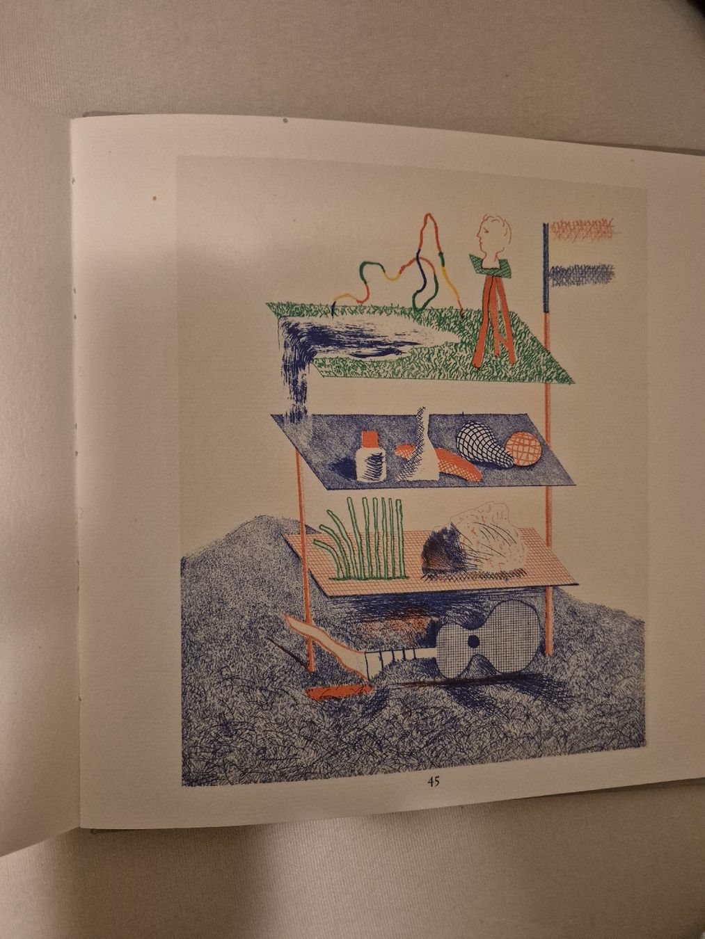 Libri: The Blue Guitar David Hockney. Wallace Stevens. – Usato da Basel venduto da dsc_bnp7 3