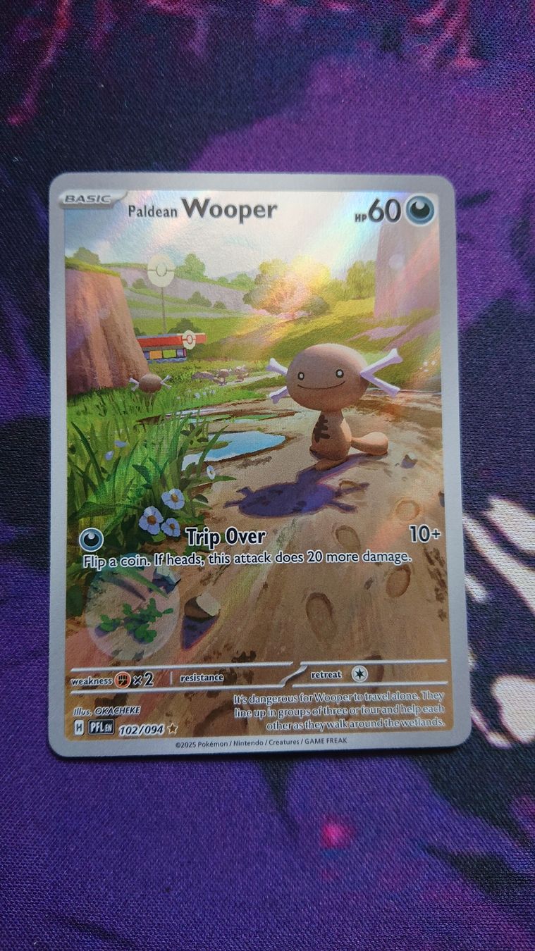 Pokémon Sammelbilder & Trading cards: Paldean Wooper 102/094 EN – Neu (gemäss Beschreibung) aus Chur von FreakofRarity