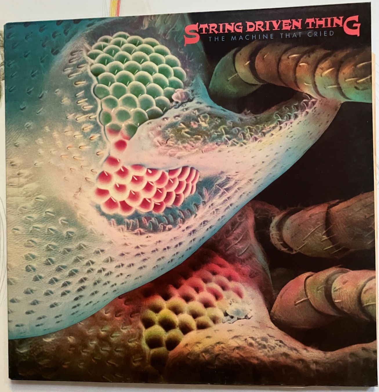 Dischi in vinile: String Driven Thing The Machine That Cried UK Original LP – Usato da Basel venduto da Gholb