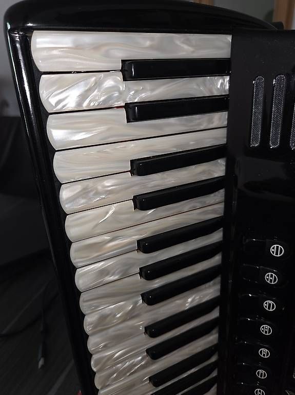 Instruments de musique: Fisarmonica PaoloSoprani – D'occasion à lodrino par zug_tfc6 1