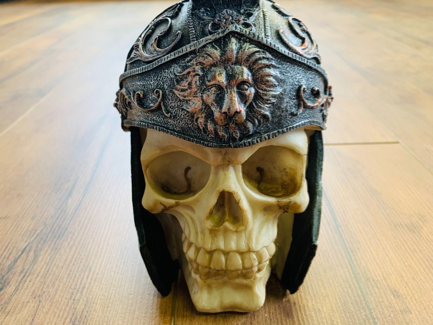 Sculture & Statue: Totenschädel Schädel SKULL Cäsar 20cm NEU – Nuovo e nell'imballaggio originale da Bergdietikon venduto da shopAgent 1