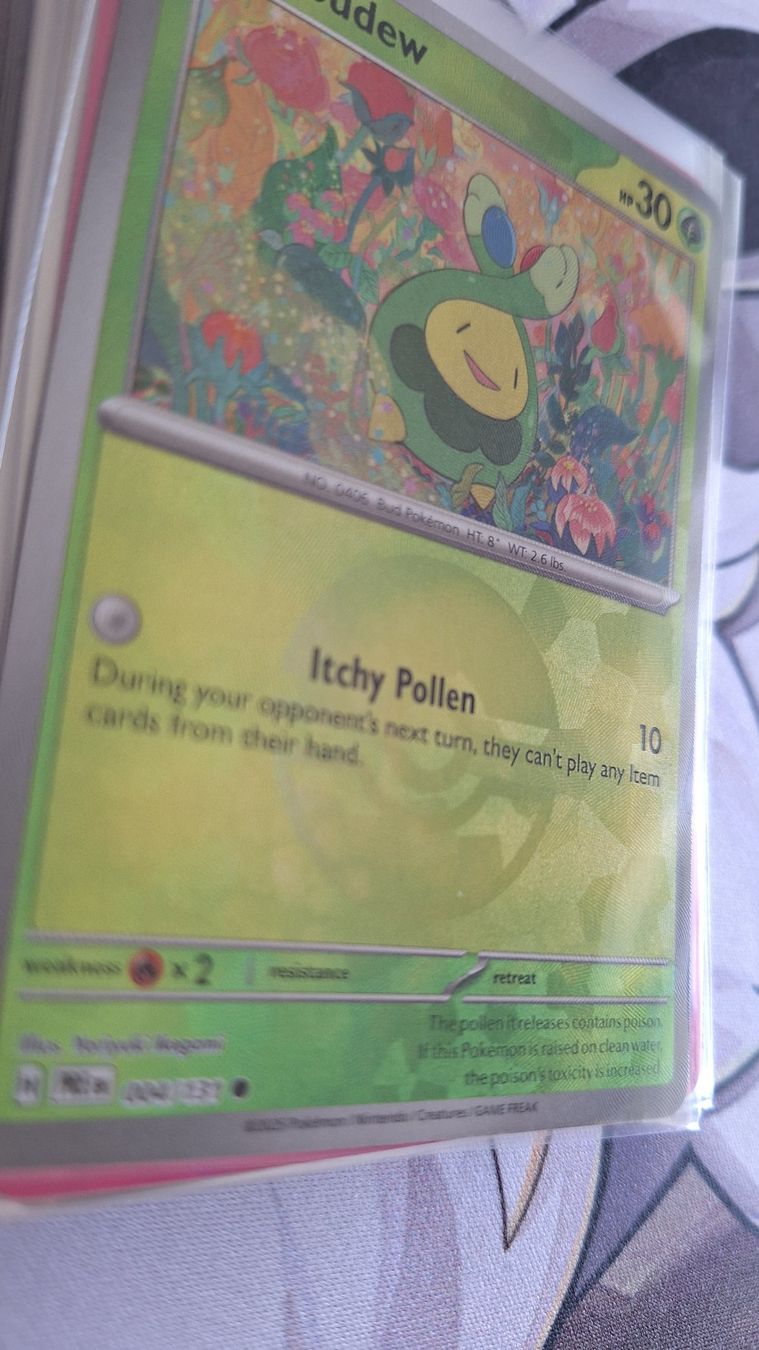 Pokémon Carte collezionabili: Budew Pokeball Holo - Prismatic Evolution – Usato da Altstätten SG venduto da GGsGameshop 1