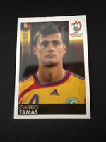 Panini UEFA EM 2008 Sticker - Nr. 318