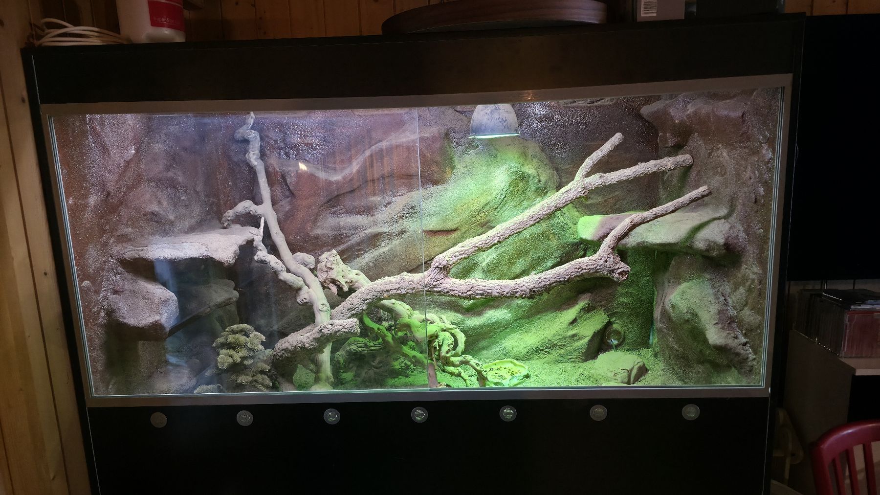 Terrariums: Terrarium – D'occasion à Walkringen par mar_gm5h 5