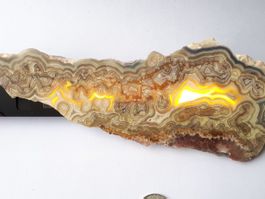 Achat Crazy Lace 23cm polierte Scheibe Slab kleine Rarität