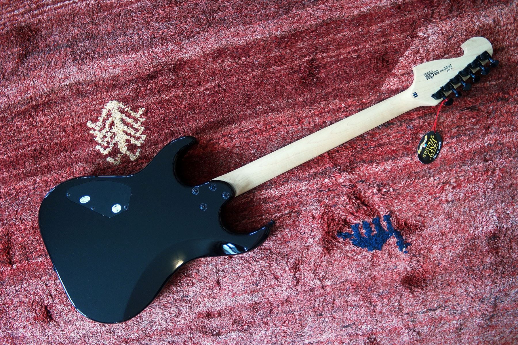 Strumenti ad arco e pizzico: guitare Washburn X100 neuve avec housse – Nuovo (secondo la descrizione) da Goumoens-la-Ville venduto da Vitamine 4
