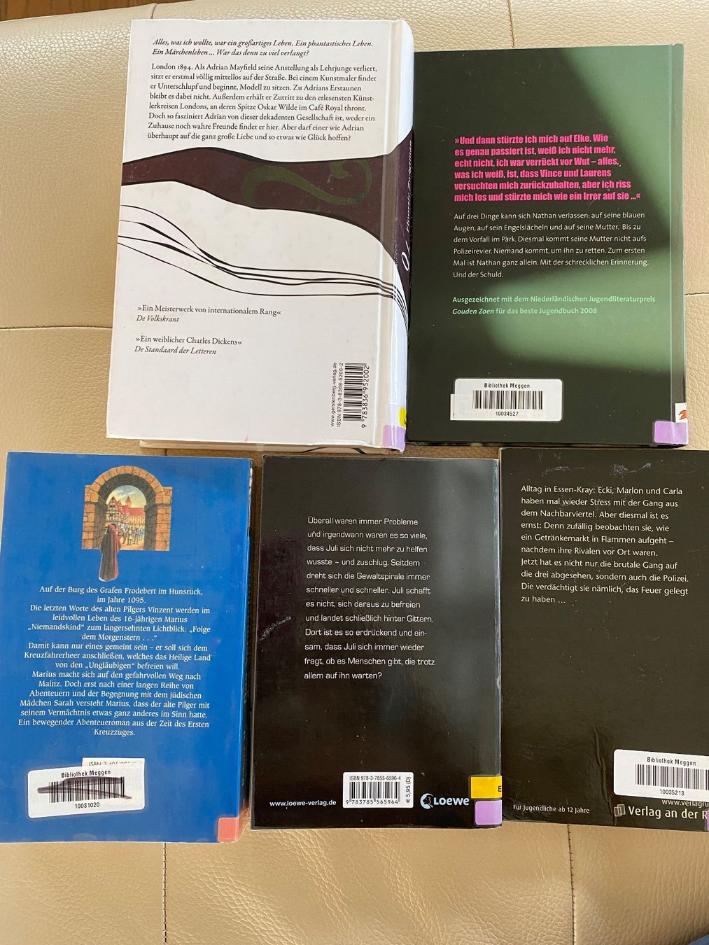 Libri: 5 Bücher für Jungs – Usato da Meggen venduto da 6003Luzern 1
