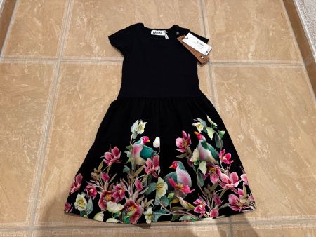 Molo neues schönes Kleid, 5-6j 110-116