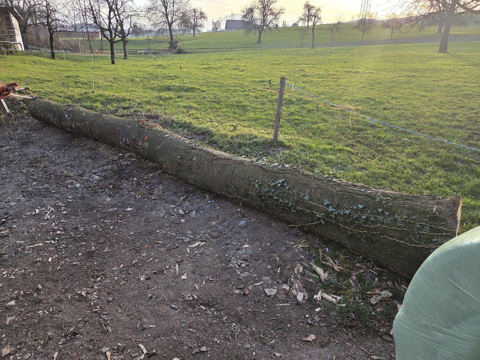 Articoli in legno: Kirschbaum Bretter Stamm Holz – Usato da Aettenschwil venduto da Betrieb87 1