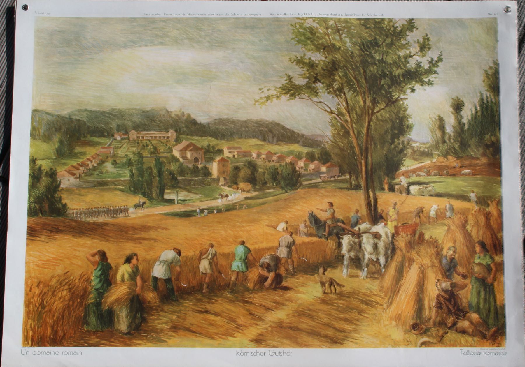 Cartoline postali: Schulwandkarten Plakate – Usato da Biel-Benken BL venduto da AngiSchaefer 4