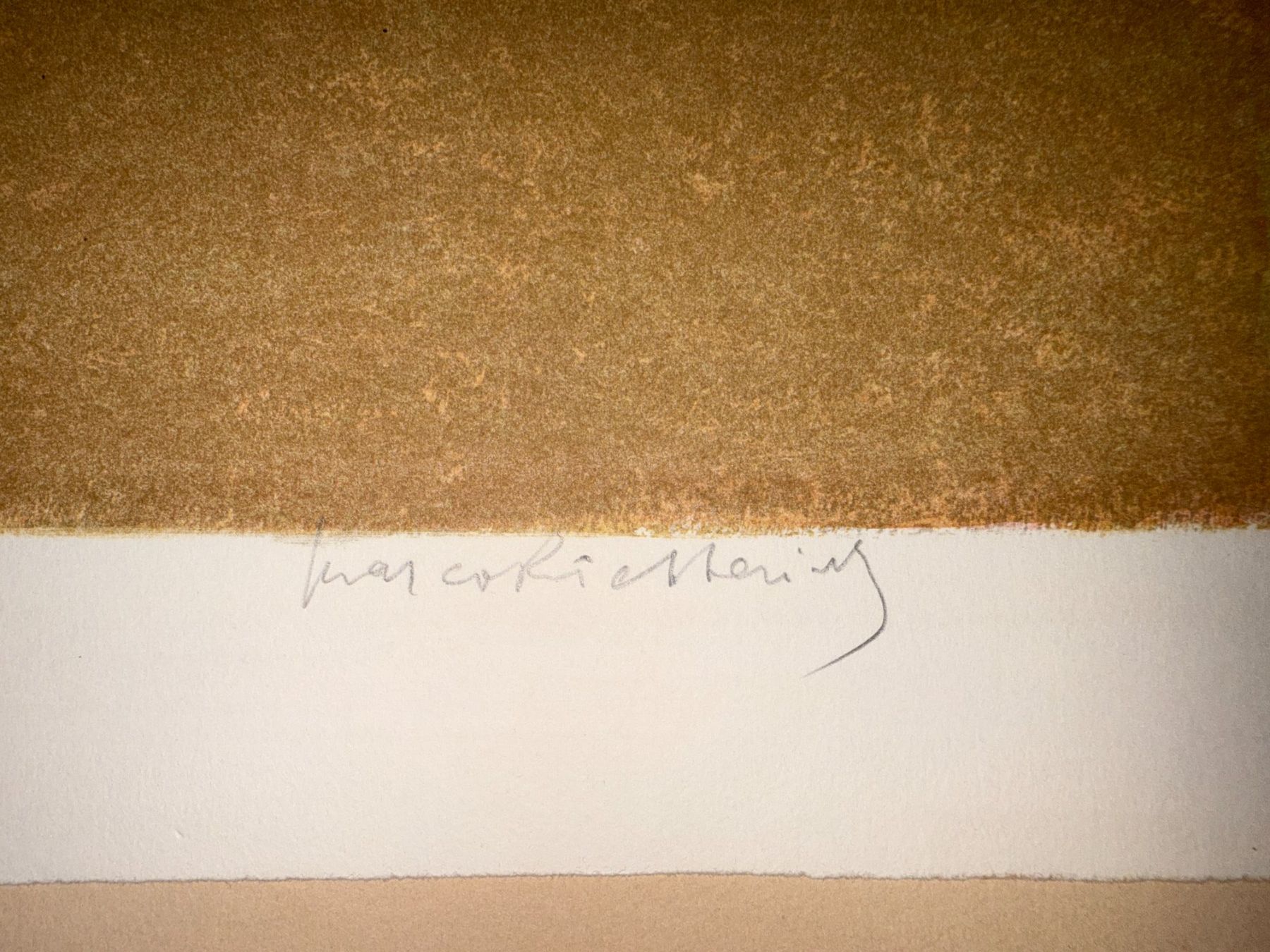 Grafica & Litografie: Original Marco Richterich Lithografie - 138/200 – Usato da Zürich venduto da dargie82 2