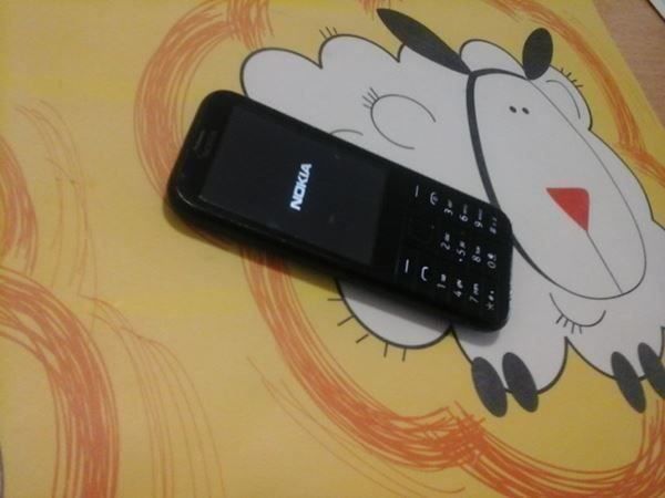 Sim-Frei:Robuste Nokia Asha225 RM 1012 | Kaufen auf Ricardo