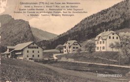 Gänsbrunnen SO // 1912 Hotel Pension Rössli Weissenstein