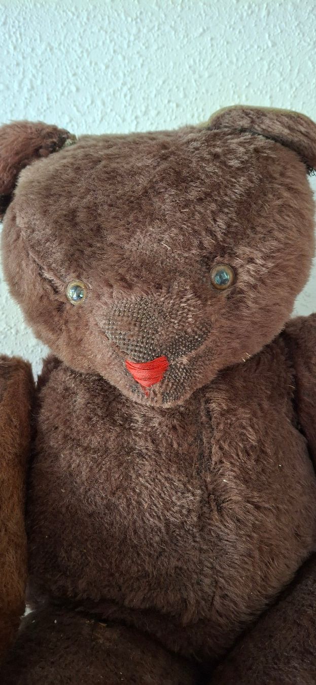 Giocattoli: Antiker dunkelbrauner Teddybär – Usato da Reinach BL venduto da Chela04 1