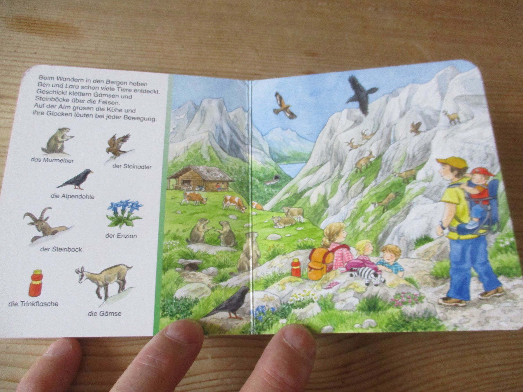 Libri: Wimmelbuch Taschenformat Tiere – Usato da Birsfelden venduto da alles-muss-raus 1