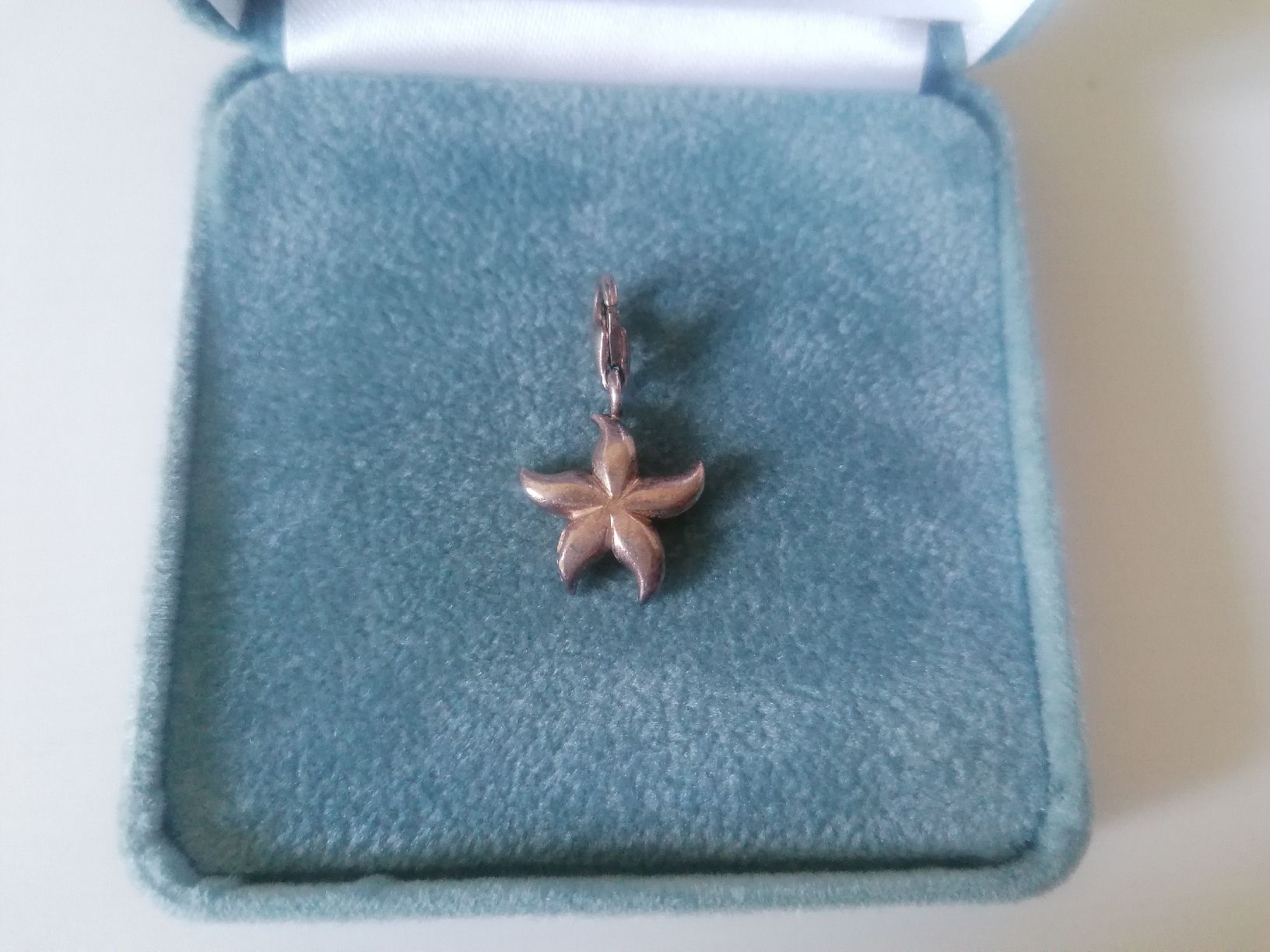 Thomas Sabo Ciondoli: Thomas Sabo Seestern Charm Anhänger Silber – Usato da Zürich venduto da Kassandra2 2