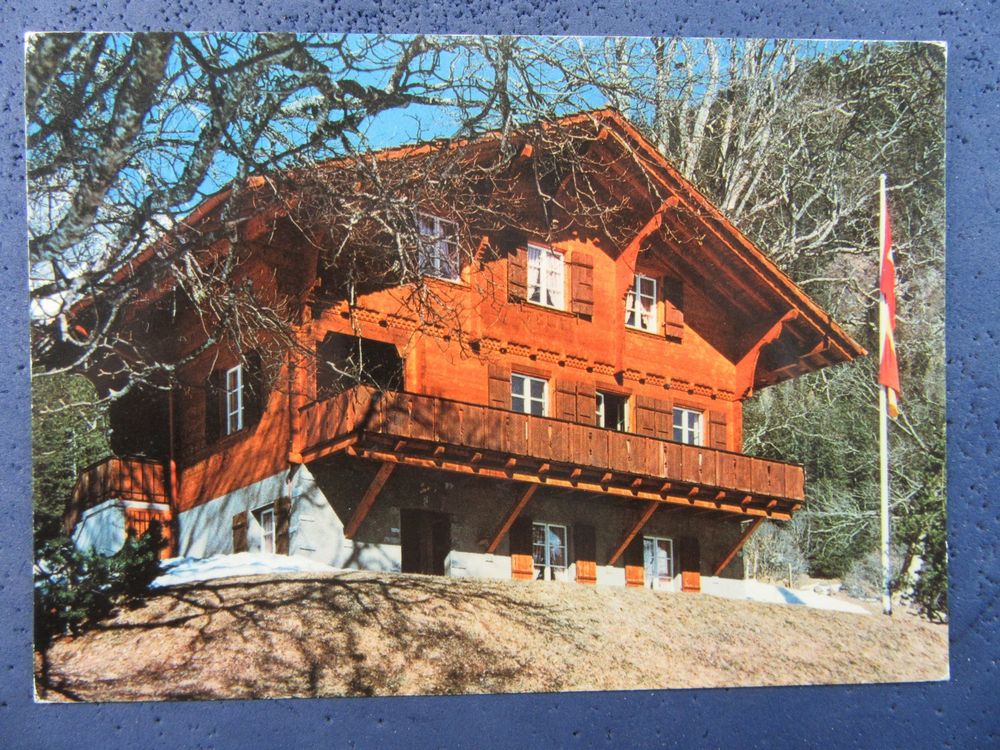 AK BEO GRINDELWALD CHALET TEUFI SFAC BERN 1981 Kaufen auf Ricardo