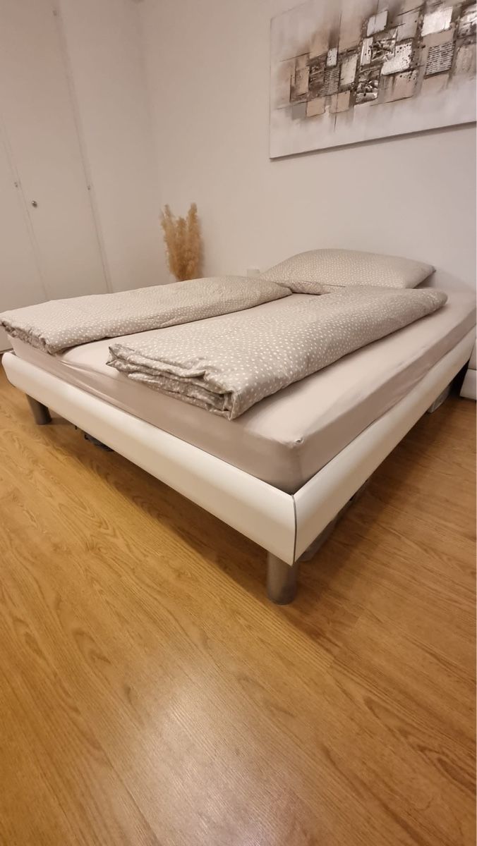 Letti: Bett Hasena inkl. 2x Rost / 208x168cm – Usato da Thierachern venduto da 19Fischer95 1
