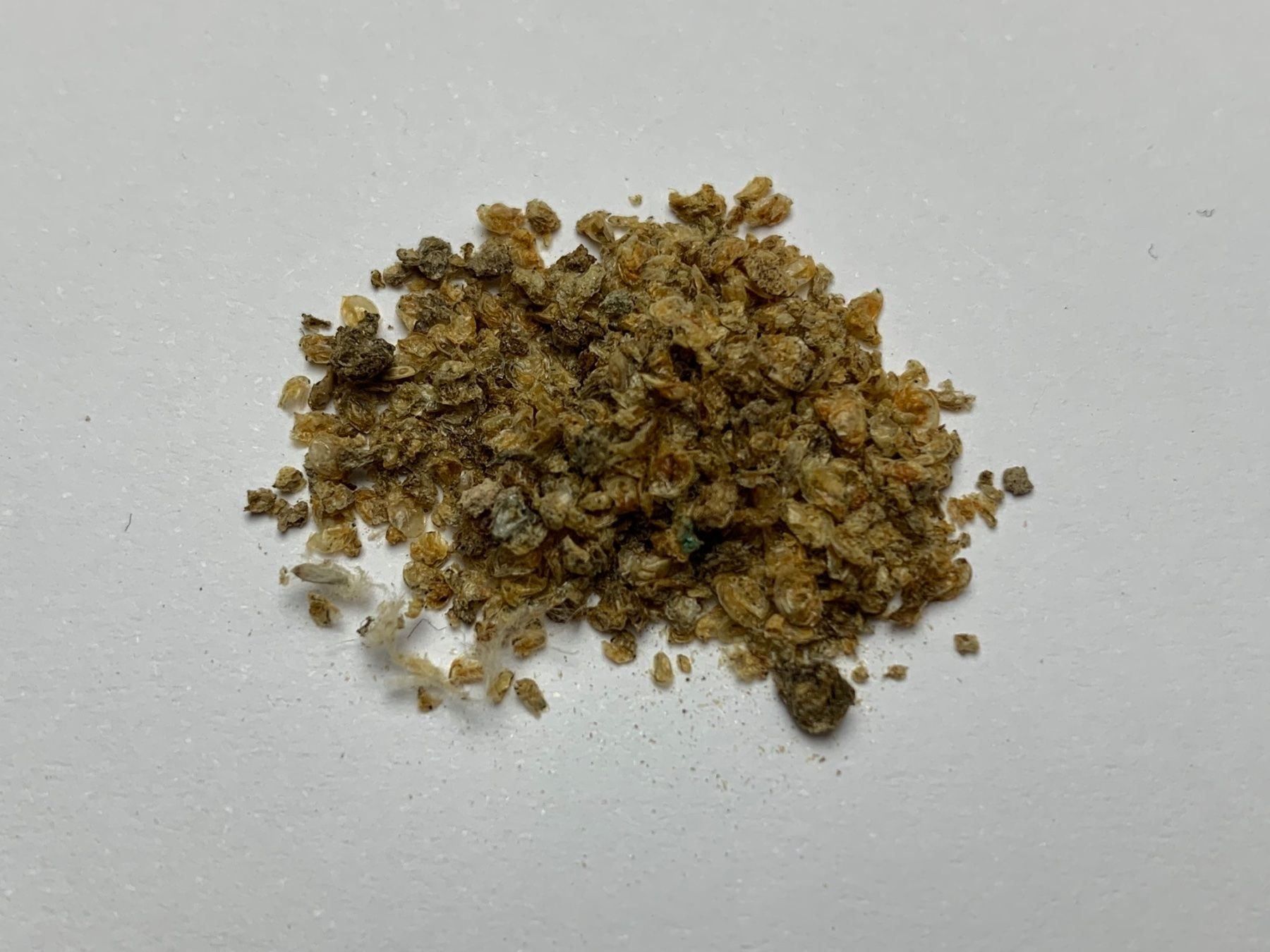 Futter: Getrocknete Wasserflöhe 100g Top Preis – Neu und originalverpackt aus Hallau von R.R.91