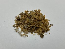 Getrocknete Wasserflöhe 100g Top Preis