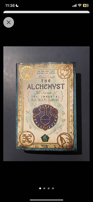 Bücher: The Alchemyst - Michael Scott – Gebraucht aus Bern von aij_cs5m