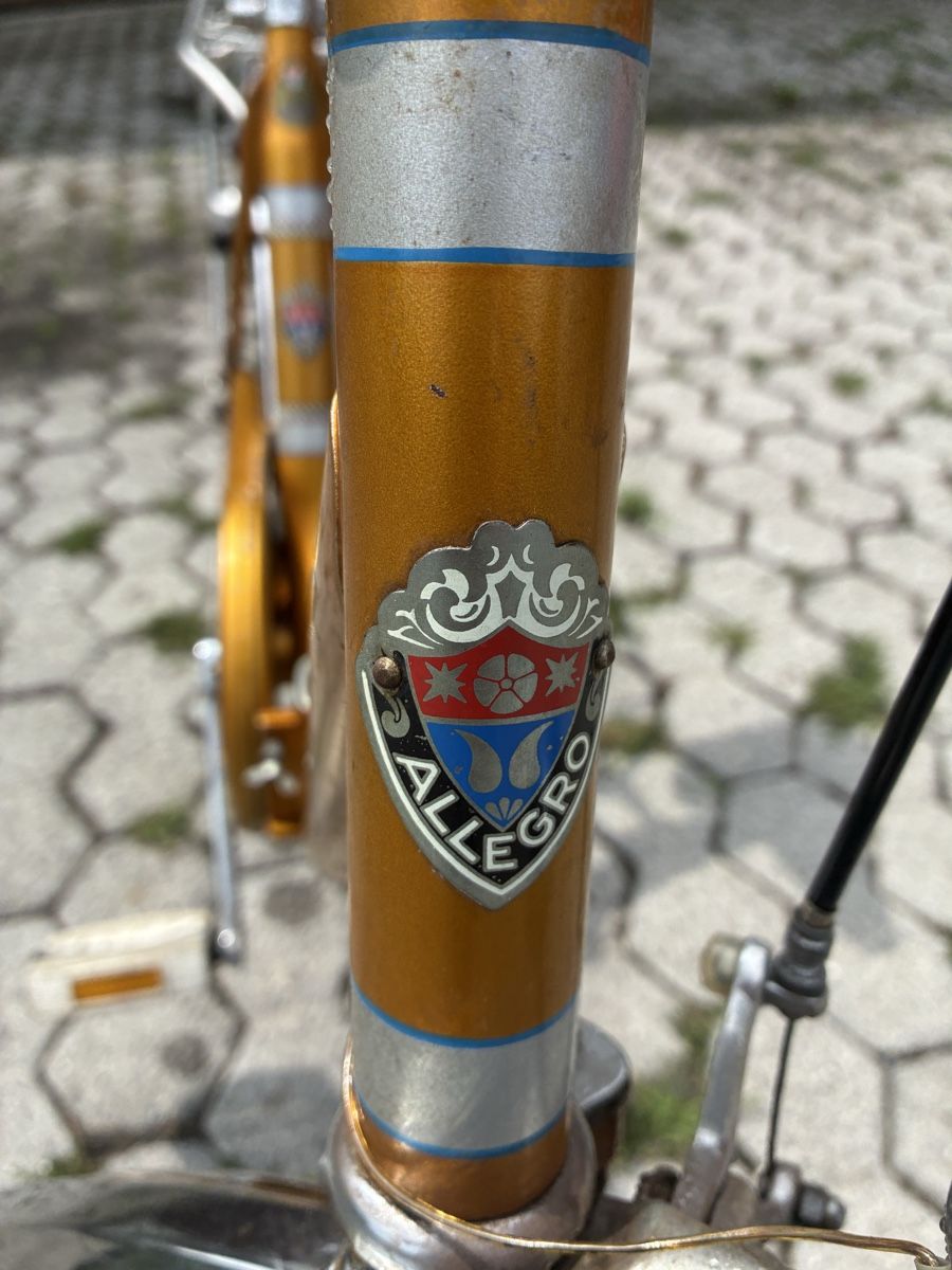 Biciclette: Klappfahrad Allegro – Difettoso da Bad Ragaz venduto da remok01 4