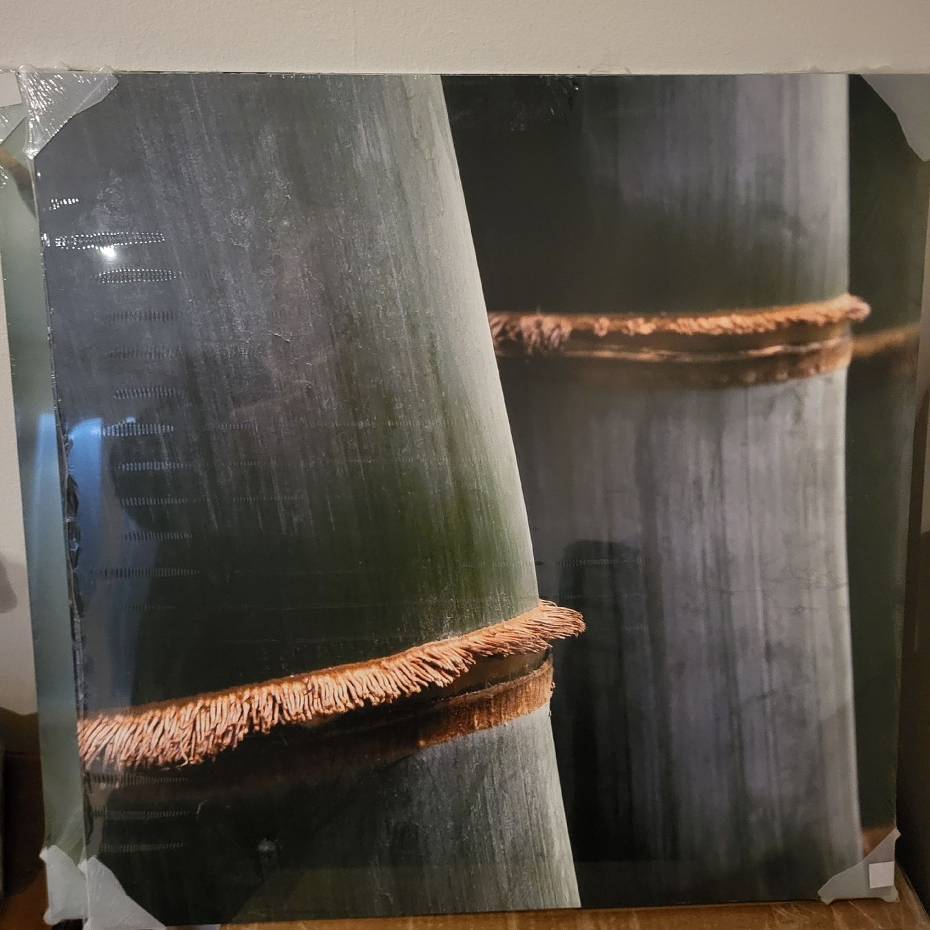 Poster & Bilder: Bilder Bambus – Neu und originalverpackt aus Pratteln von san_6zyh 4