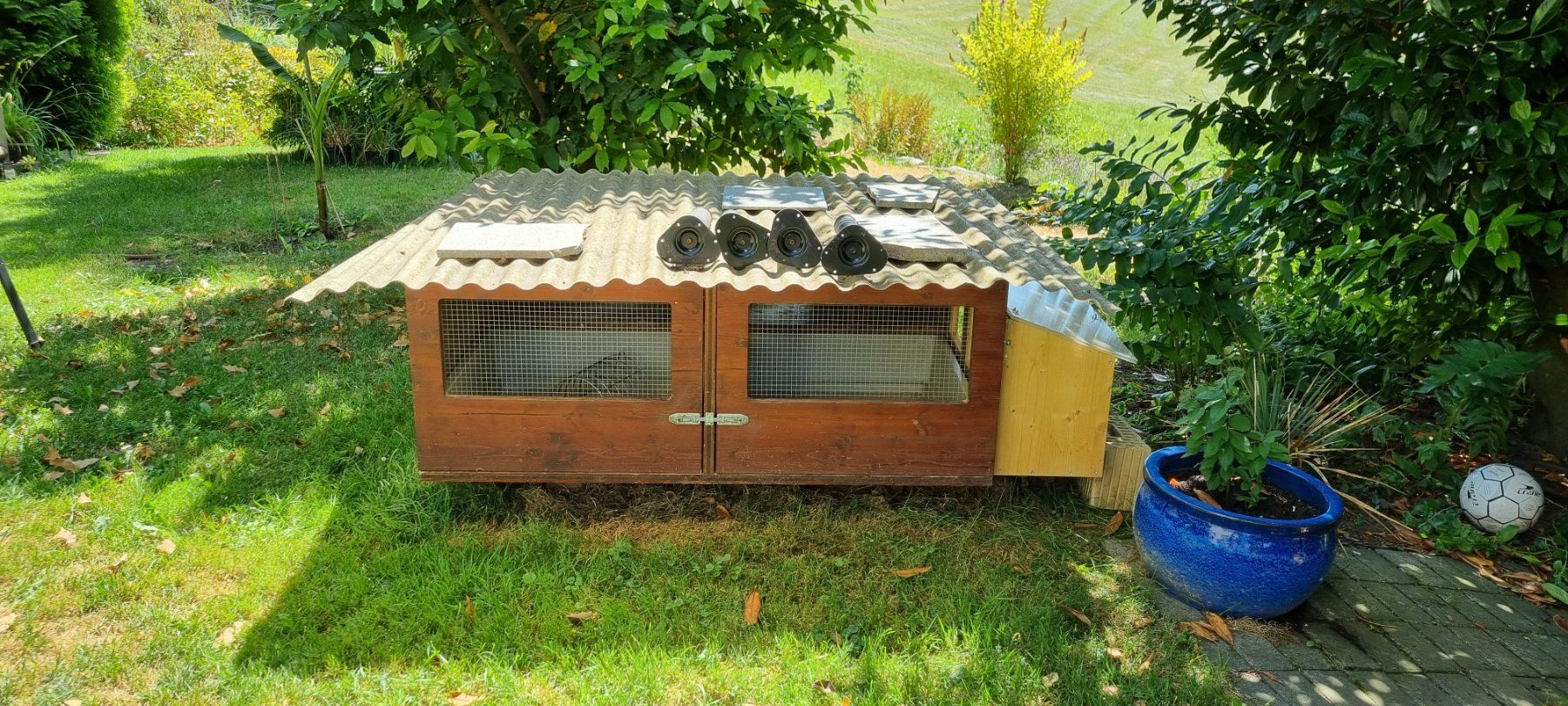 Cages, transport & sécurité: Kleintierhaus Holz ,Dach mit Plexiglas – D'occasion à egliswil par Maggy6 2