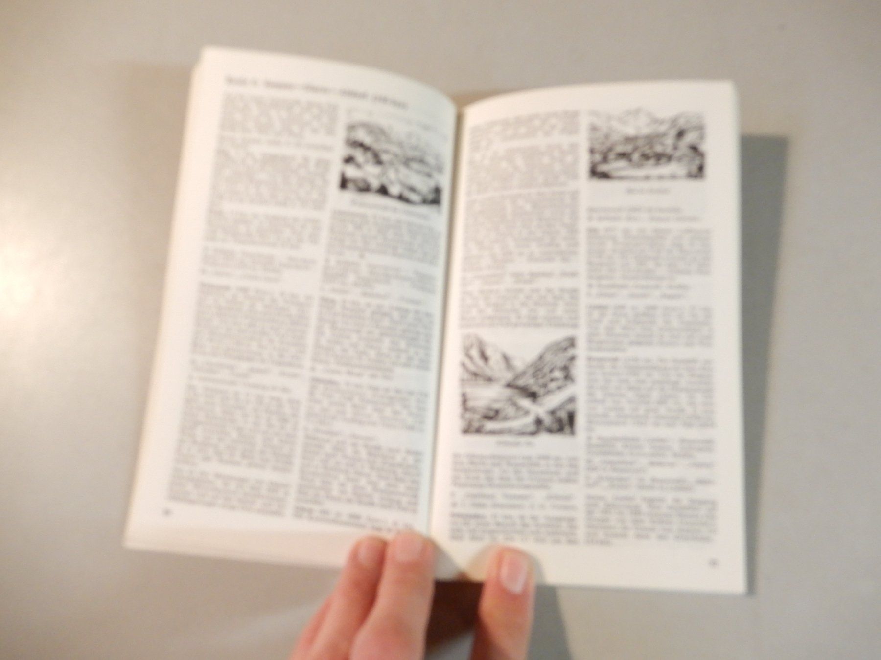 Libri: Reiseführer Ostschweiz Graubünden Polyglott – Usato da Erstfeld venduto da Mario_boe0 6