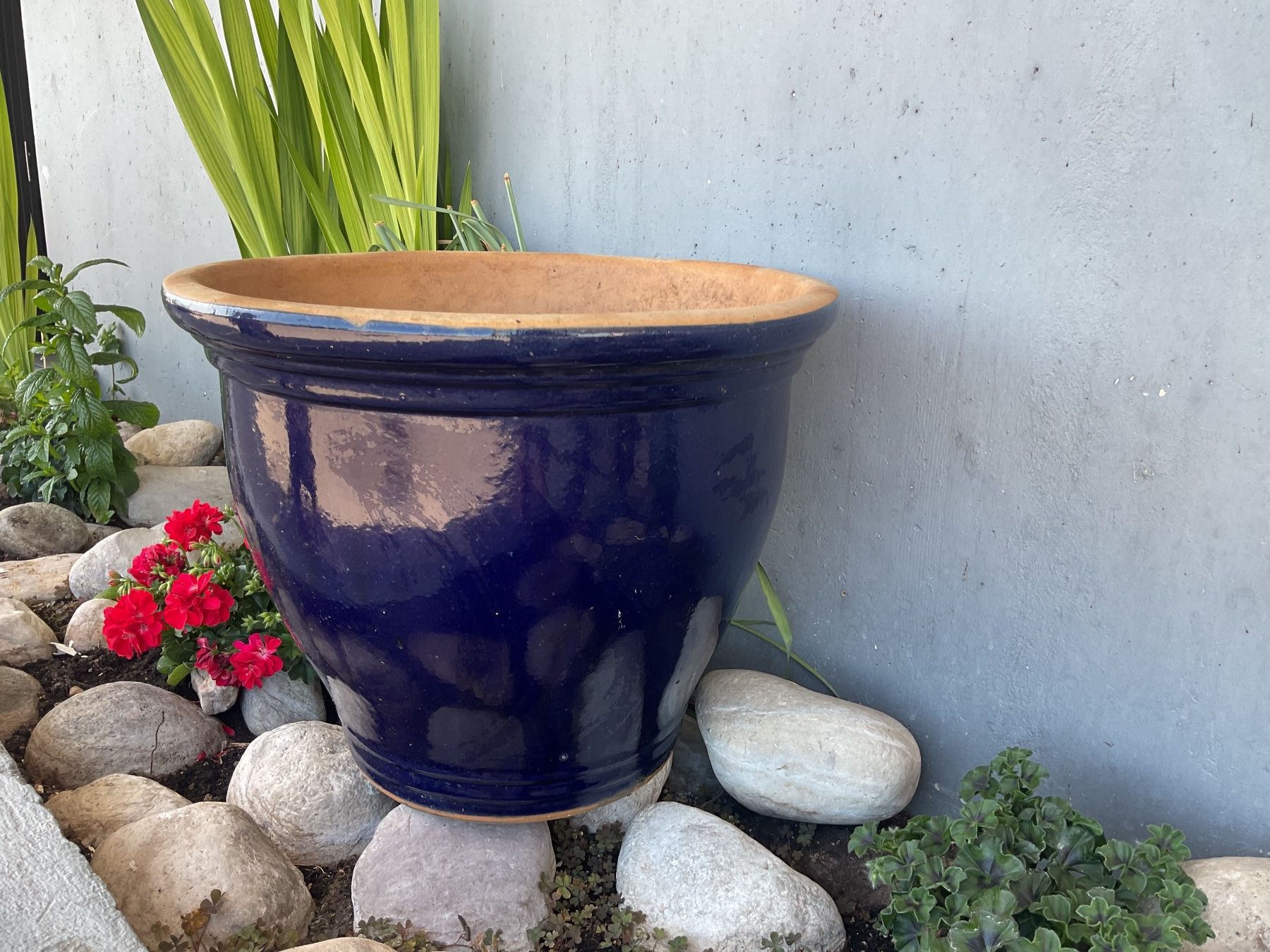 Blumentöpfe: Pot de fleur terracotta – Gebraucht aus Neuchâtel von sta_7qfy 2