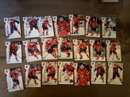 Sportzoo LHC Serie 1 24/25