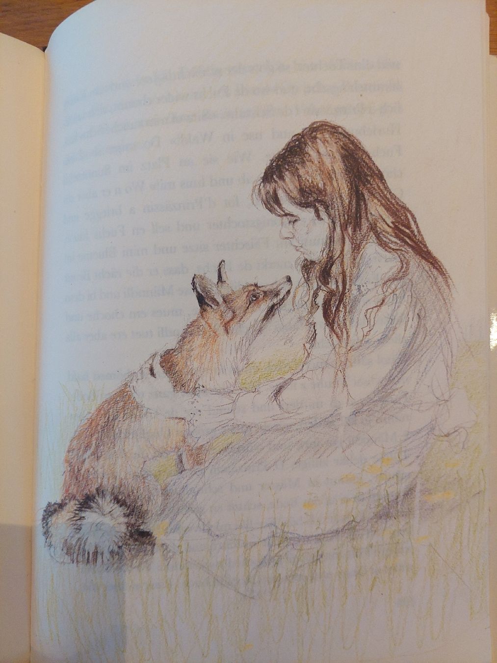 Libri: Seltenes Grimm Märchenbuch "De Fundevogel" Mundart – Usato da Dinhard venduto da Sarn02 4