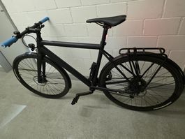 Ampler Curt Medium (Rahmen 55cm)