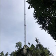 Profile image of Lowni
