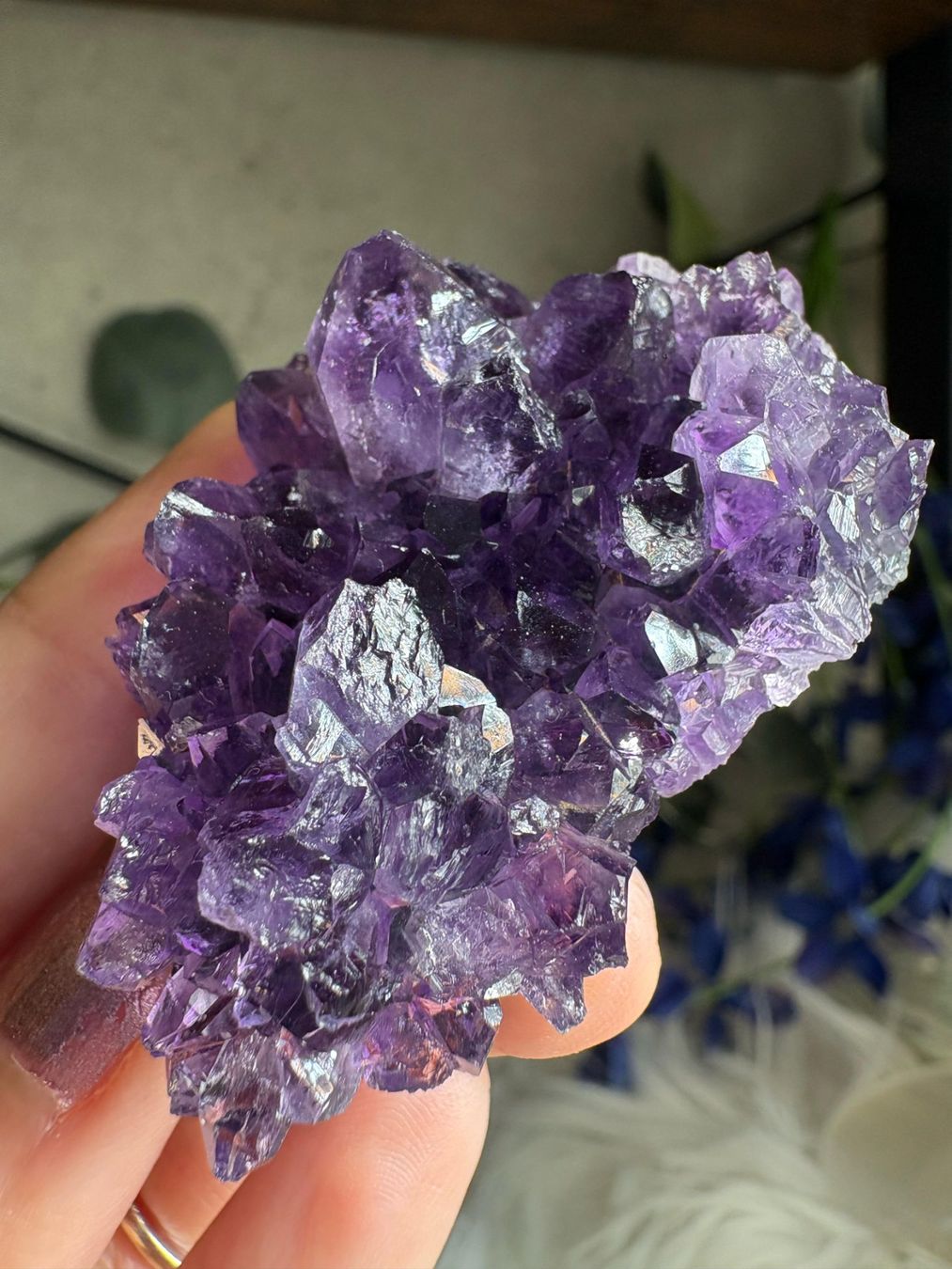 Pietre preziose: Uruguay Amethyst – Super High Quality – Nuovo (secondo la descrizione) da Neuheim venduto da m.hald 3