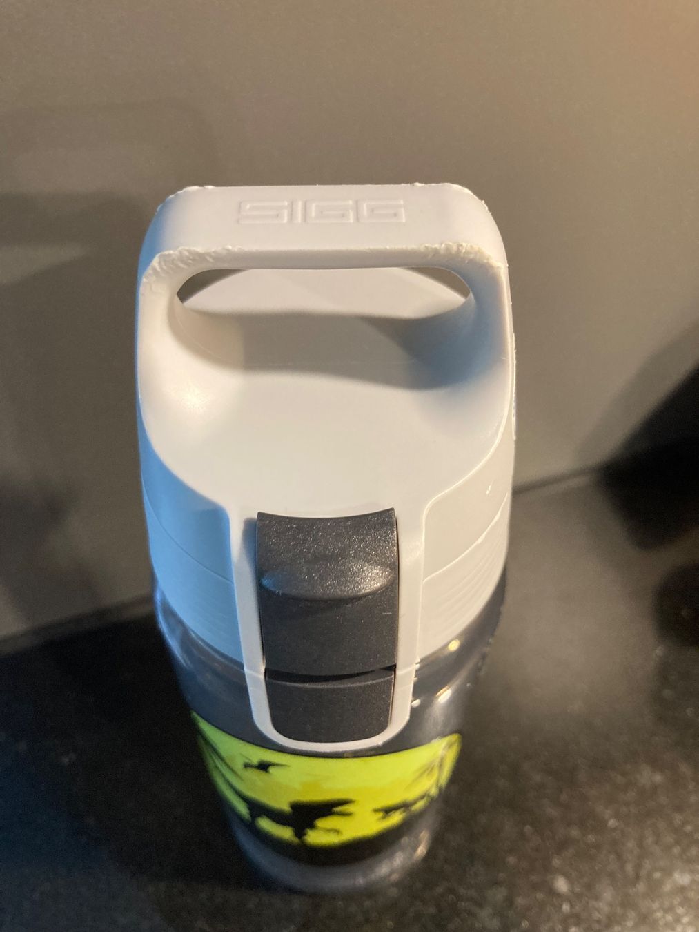 Borracce & Thermos: Sigg trinkflasche – Usato da Bülach venduto da Stellina72 1