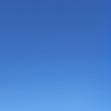 Profile image of Ataraxis