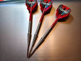 Darts Dartpfeil Steeldarts Loxley Robin Pro Tour 21g
